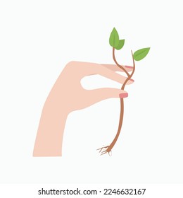 Planting a tree, hand with a plant, sapling. Birthday of fruit trees. Vector illustration. Background isolated.