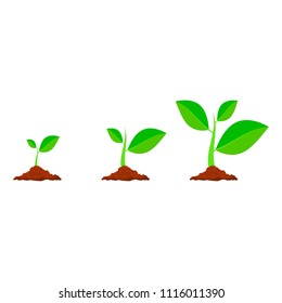 Planting Tree Icons Stock Vector (Royalty Free) 1116011390 | Shutterstock