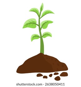 planting tree illustration, growing, save earth