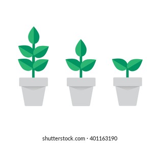 planting tree process, business concept flat design