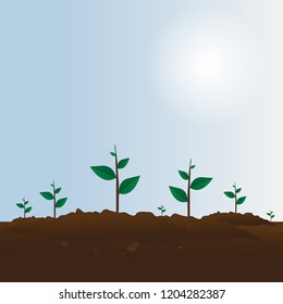 Planting tree. Process planting concept. Caring for environment. Vector illustration.
