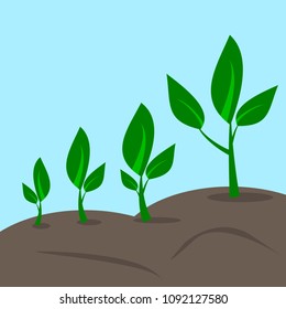 Planting tree process info graphic. Flat design for business 

concept ,illustration vector.
