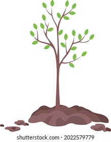 Planting Tree In Spring Semi Flat Color Vector Object. Full Sized Item On White. Tree Seedling. Concern To Environment Isolated Modern Cartoon Style Illustration For Graphic Design And Animation