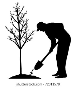 Planting a tree (vector)