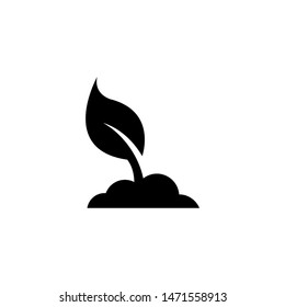 Planting Tree, Young Sprout Leaf. Flat Vector Icon illustration. Simple black symbol on white background. Planting Tree, Young Sprout Leaf sign design template for web and mobile UI element