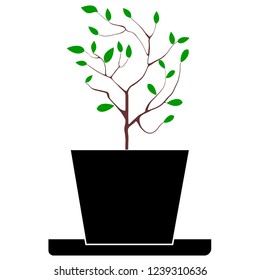Planting trees eco concept with ecological icons
