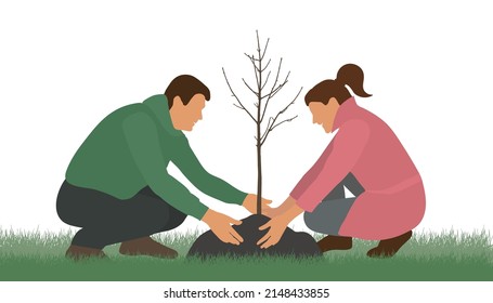 Planting trees. Man and woman plant bare tree. Environmental care. Vector illustration