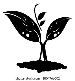planting trees to reduce global warming