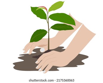 plantando árboles con dos manos.