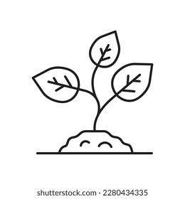 Planting vector line icon. Seedling flat sign design. Planting nature leaf symbol pictogram. UX UI isolated icon of seeling planting leaf. Linear icon outline symbol