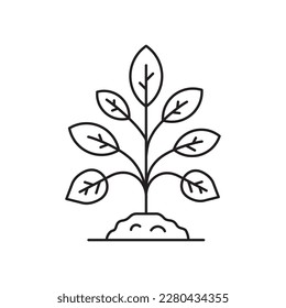 Planting vector line icon. Seedling flat sign design. Planting nature leaf symbol pictogram. UX UI isolated icon of seeling planting leaf. Linear icon outline symbol