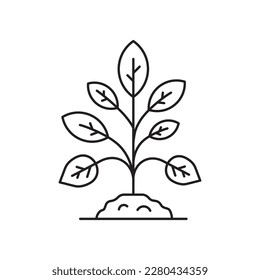 Planting vector line icon. Seedling flat sign design. Planting nature leaf symbol pictogram. UX UI isolated icon of seeling planting leaf. Linear icon outline symbol
