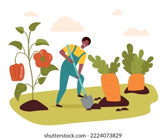 El concepto de verduras. Los hombres cavan productos naturales, un chico joven al lado de los tomates. Trabajadores en cosechas agrícolas y agrícolas. Alimentación saludable y dieta vegetariana. Dibujo vectorial plano de dibujos animados