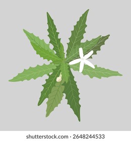 The plant-inspired design features green leaves with unique serrated edges and minimalist white flowers.