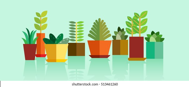Plants - Shutterstock ID 513461260