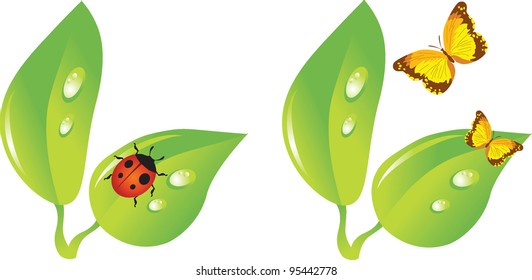 Plants