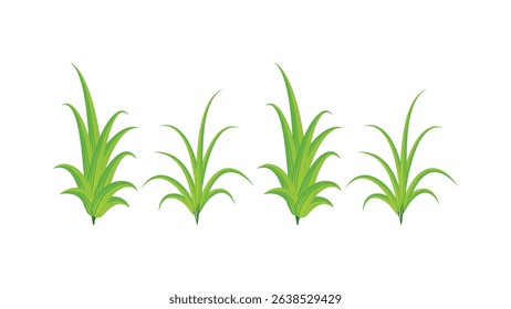 Plants 3: Vector plants design, Abstract leaves in flat style.