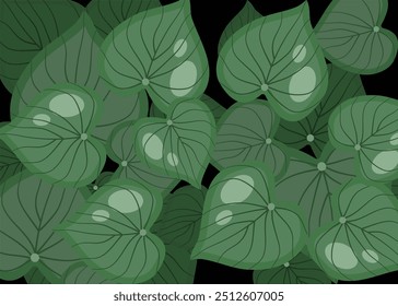 Plano de fundo abstrato das plantas com branco preto