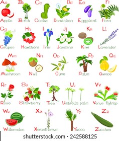 Plants alphabet