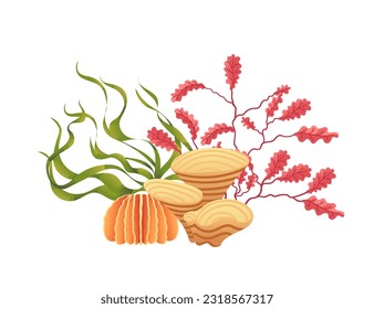 Plants and aquatic marine seaweed vector illustration isolated on white background