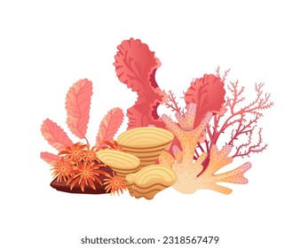 Plants and aquatic marine seaweed vector illustration isolated on white background