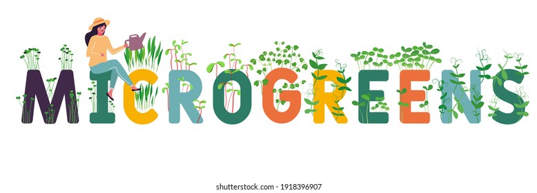 Plantas alrededor de letras. Tipografía ilustrada, para afiches, volantes, sitios web, aplicaciones móviles o acaparamientos. Microvegetales. Produciendo semillas de una planta. Suplemento vitamínico, comida vegana.