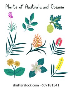 Plants of Australia and Oceania vector set