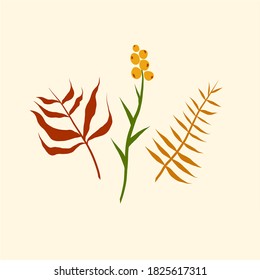 Plants Autumn Set. Vector Plant Art.