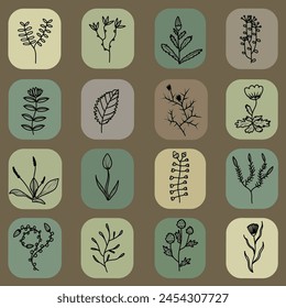 Plants Background Icons For Design Detailed Drawing Pastel Colors. Vector illustration of original plants of different species in their windows. Design approach. banner, background filling, or use as