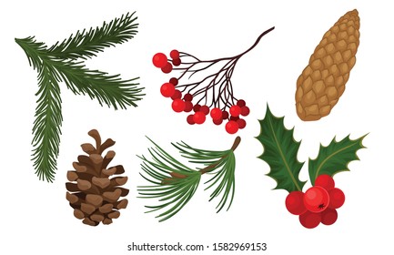 Plants and Berries for Christmas Decoration Collection, Holly, Spruce Branch, Rowan Berries, Pine Cone Vector Illustration