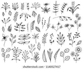 plants big set of hand drawing vector. isolated object on white background