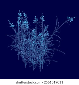 Plants blue contour, vector illustration