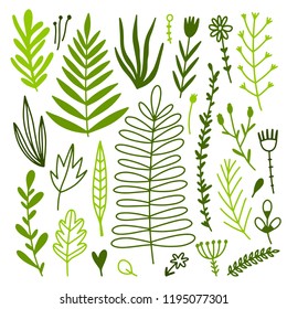 Plants and botanical elements green hand drawn illustrations on white background