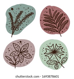 Plants and botanical illustrations. Flower set. Pastel colors. Simple vector illustration.