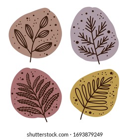 Plants and botanical illustrations. Flower set. Pastel colors. Simple vector illustration.