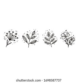 Plants and botanical illustrations on a white background. Simple vector illustration.