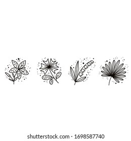 Plants and botanical illustrations on a white background. Simple vector illustration.