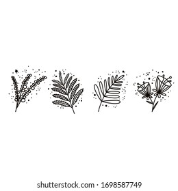 Plants and botanical illustrations on a white background. Simple vector illustration.