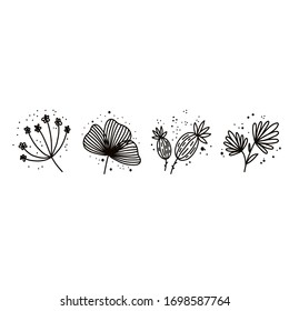 Plants and botanical illustrations on a white background. Simple vector illustration.