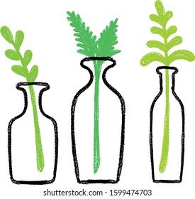 plants in bottles hand drawn crayon illustration