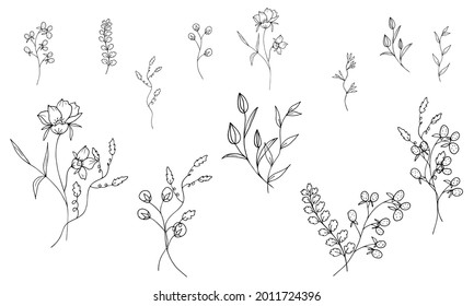 Plants and bouquets without filling on a white background. Flowers and branches in the doodle style are hand drawn. The outline of thin branches and twigs. Vector illustration. Isolated objects.