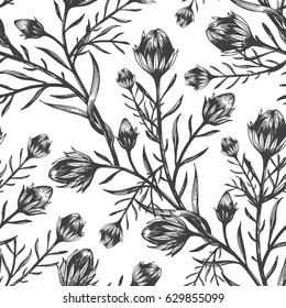 plants branch bud leaves art graphic pattern