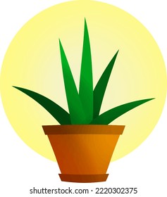 plantas en una olla marrón