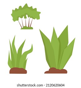 Plants, bushes, grass in flat style isolated on white background