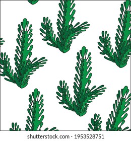 Plants, bushes, twigs, green algae on a white background in cartoon style. Seamless pattern. Vector stock illustration.