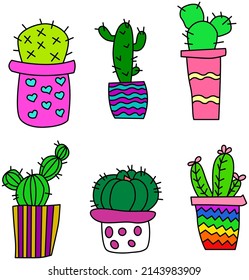 Plants. Cactus. Vases with plants. Several types of cacti.