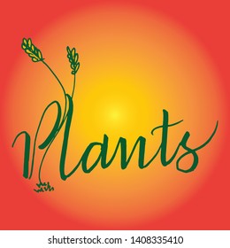Plants calligraphy, in beautiful font style, handwritten letters
