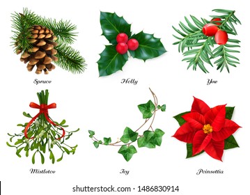 Plants, Christmas Decorations. Spruce, Holly, Yew, Mistletoe, Ivy, Poinsettia. 3d Realistic Vector Set