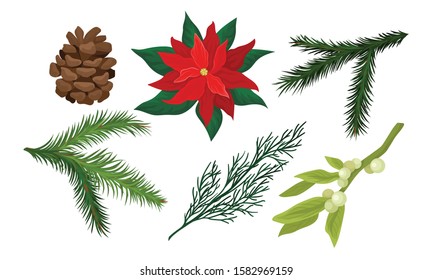 Plants for Christmas Holiday Decoration Collection, Poinsettia, Spruce Branch, Mistletoe, Pine Cone Vector Illustration