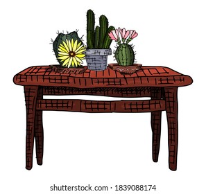 plants in clay pots. cacti on the table. doodle style vector